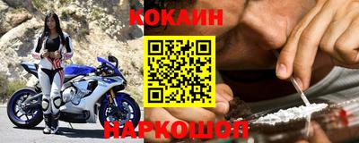 твердый Кингисепп