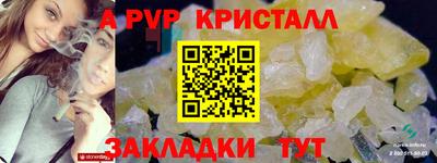 твердый Кингисепп