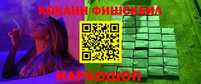 твердый Кингисепп