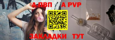 твердый Кингисепп