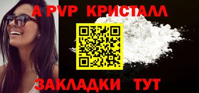 твердый Кингисепп