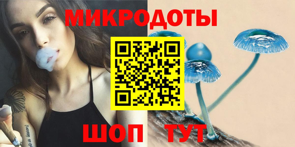 Котлас  Псилоцибиновые грибы мицелий  Вход с VPN  Галлюциногенные грибы Cubensis 