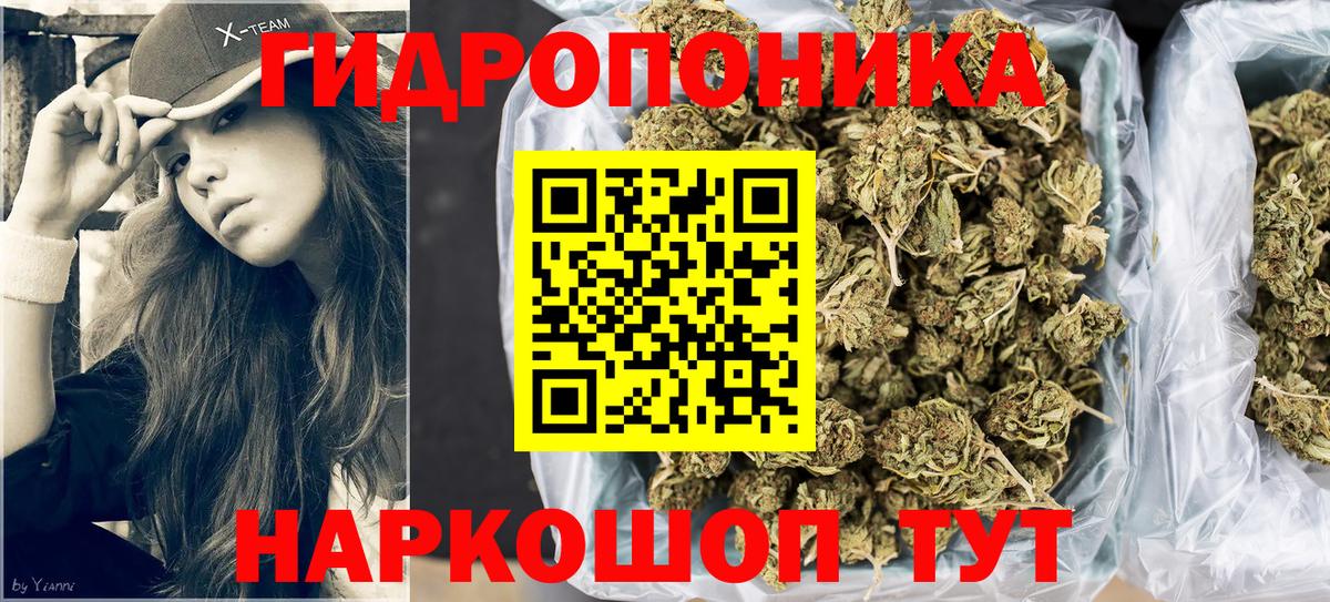 Котлас  Шишки марихуана Bruce Banner  Вход с VPN  МАРИХУАНА тримм  Бошки Шишки тримм 